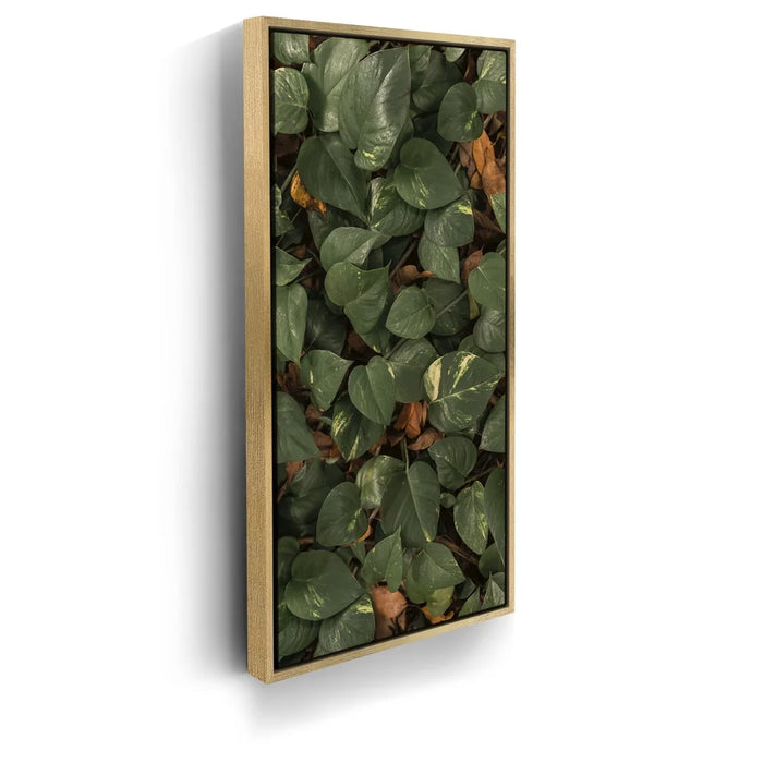 Featured image 7 for Earthy Greens - Maui, Hawaii