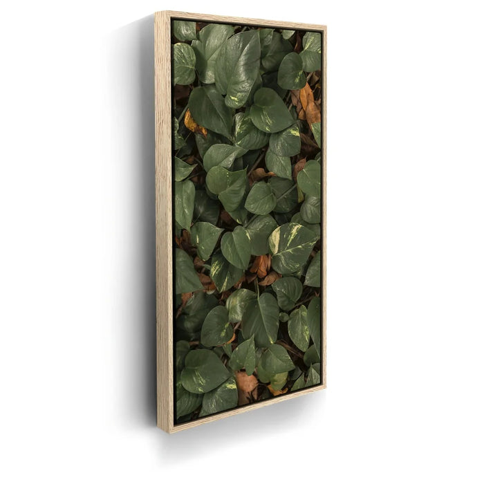 Featured image 9 for Earthy Greens - Maui, Hawaii