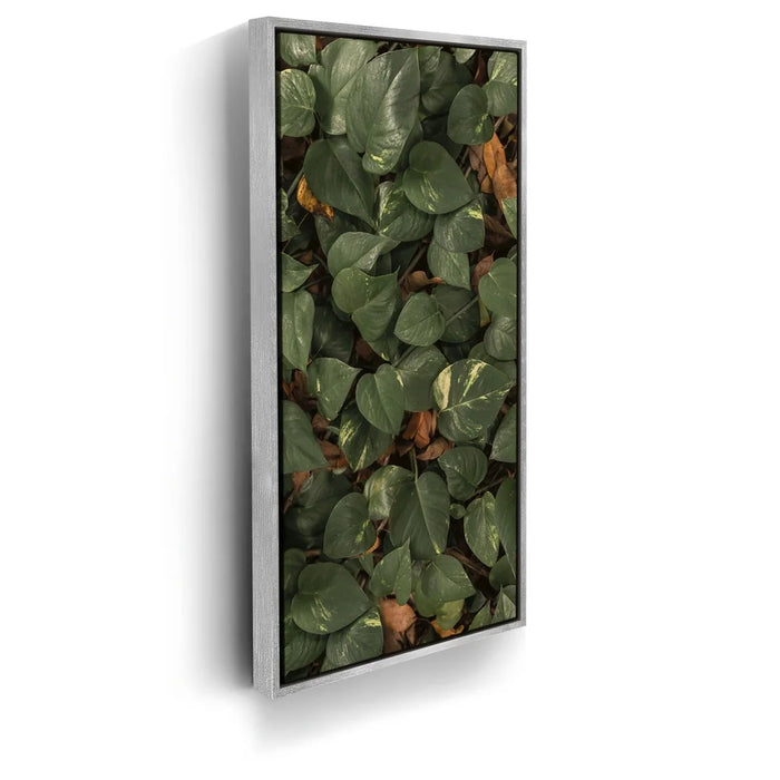 Featured image 8 for Earthy Greens - Maui, Hawaii