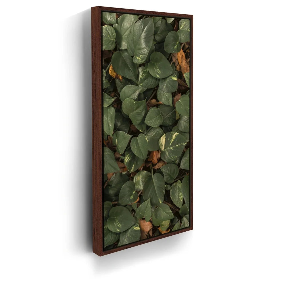 Featured image 10 for Earthy Greens - Maui, Hawaii