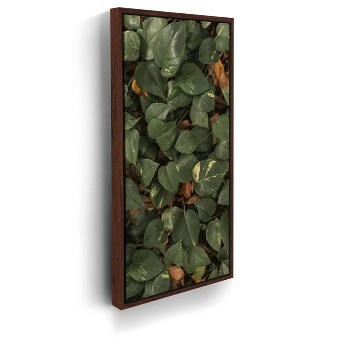 Featured image 10 for Earthy Greens - Maui, Hawaii