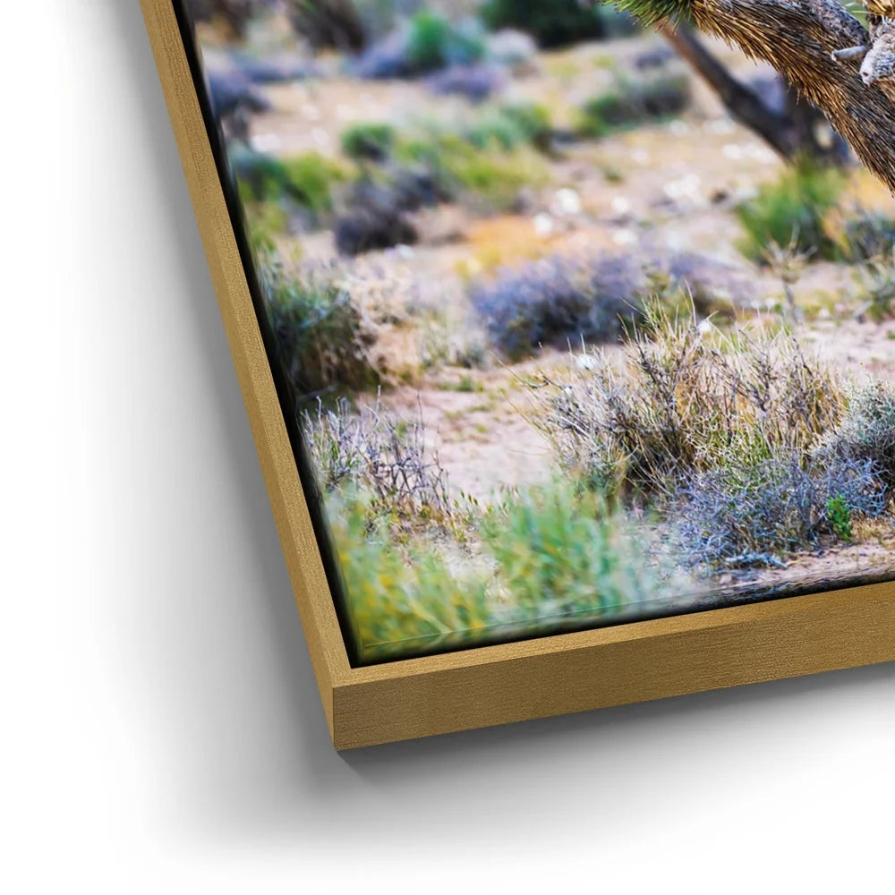 Featured image 12 for Echoes Of The Desert