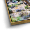 Thumbnail image 12 for Echoes Of The Desert
