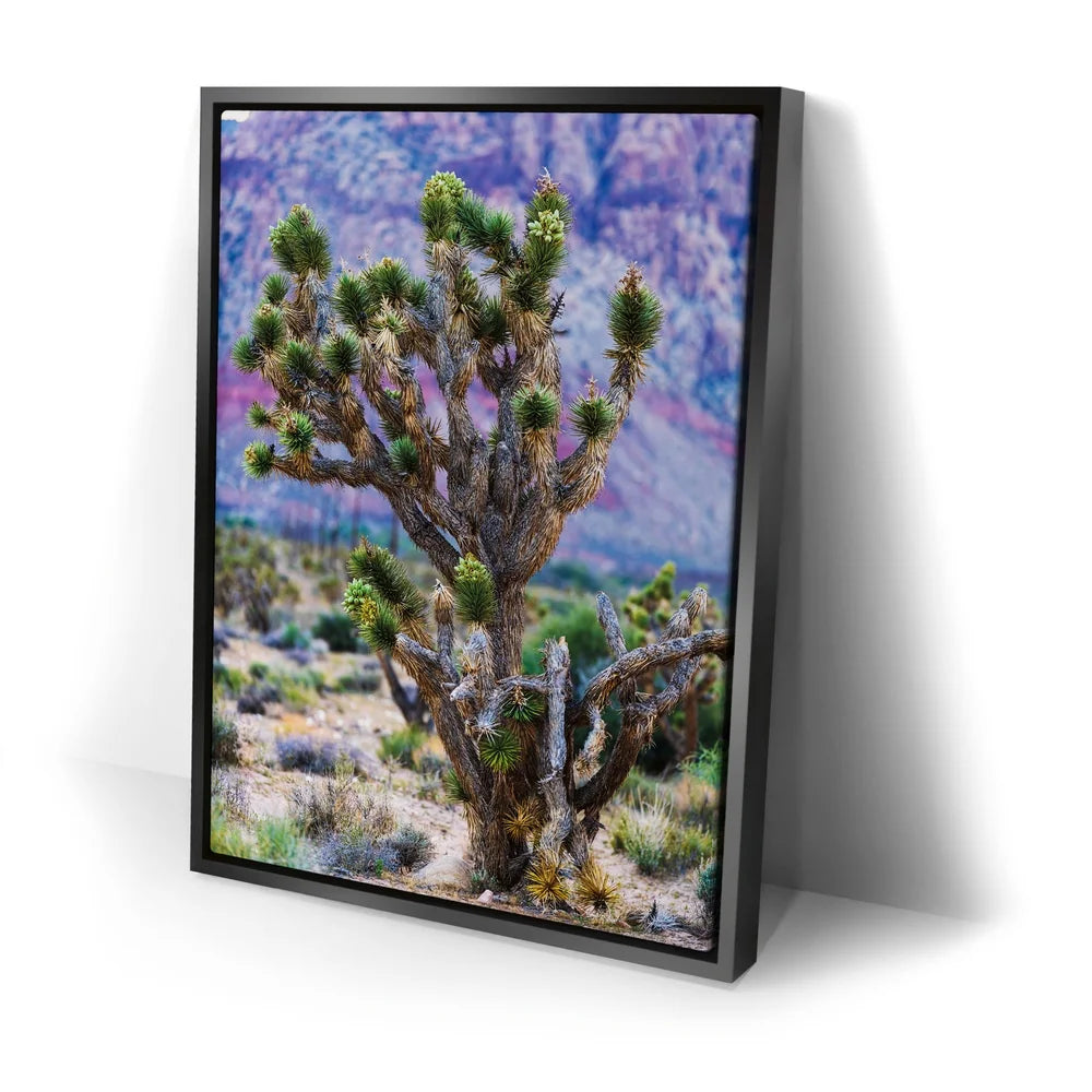 Featured image 2 for Echoes Of The Desert