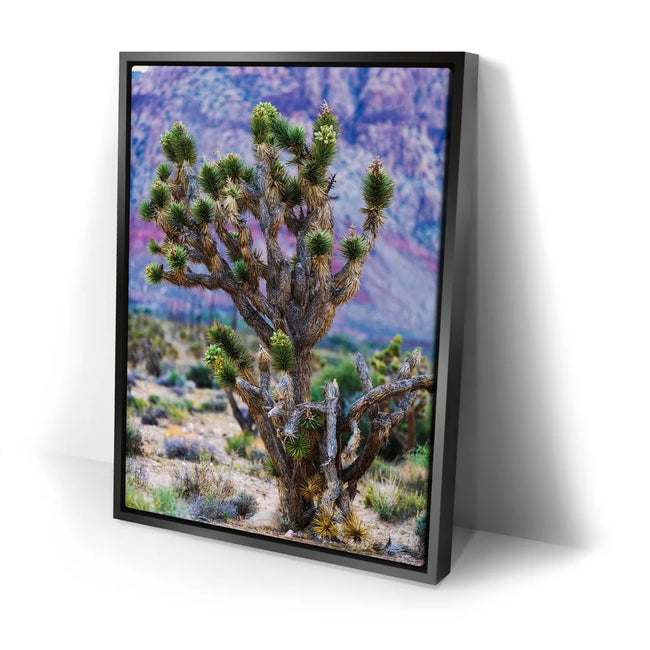 Featured image 2 for Echoes Of The Desert