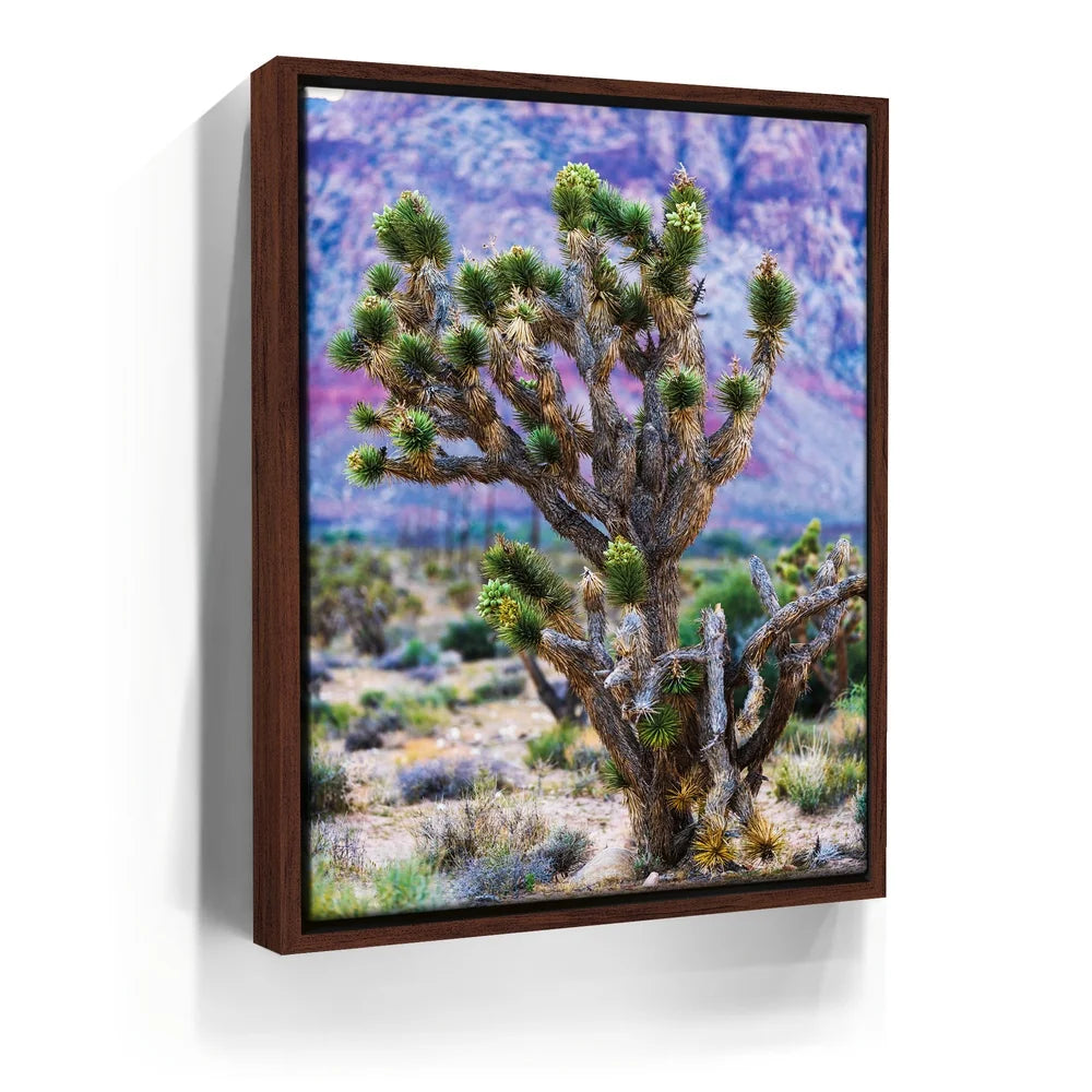 Featured image 10 for Echoes Of The Desert
