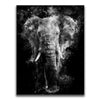 Featured image 1 for Elephant - Watercolor - Black and White