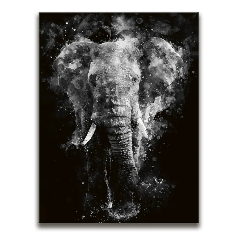 Featured image 1 for Elephant - Watercolor - Black and White