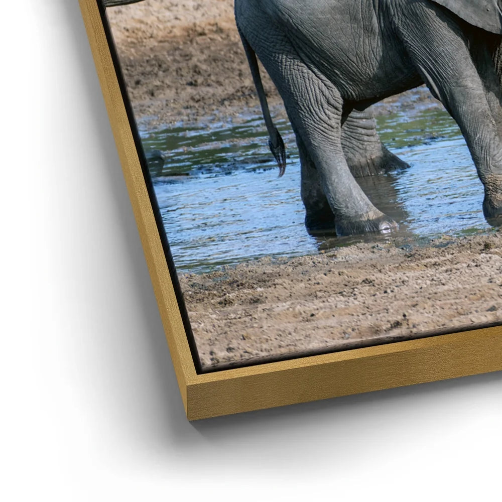 Featured image 12 for Elephants Of Tanzania