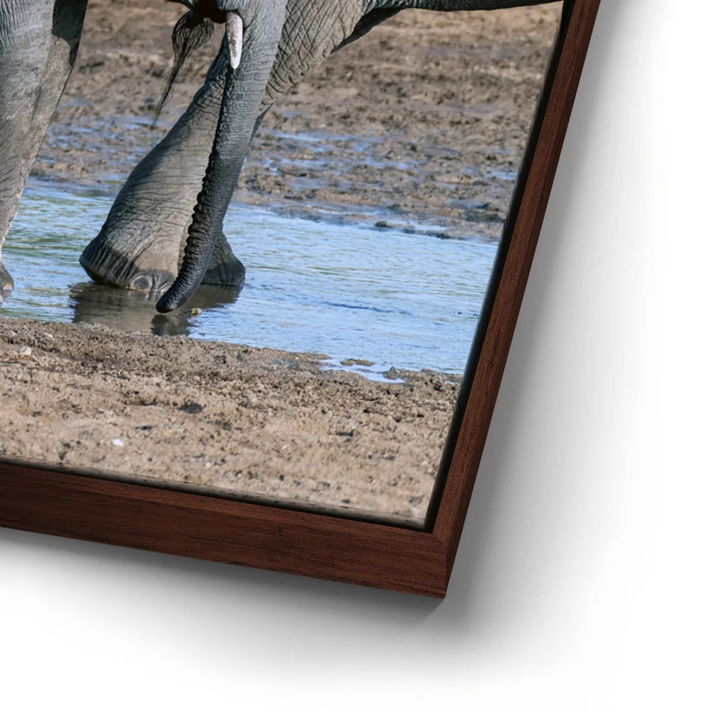 Featured image 14 for Elephants Of Tanzania