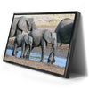Thumbnail image 2 for Elephants Of Tanzania