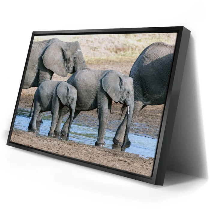 Featured image 2 for Elephants Of Tanzania