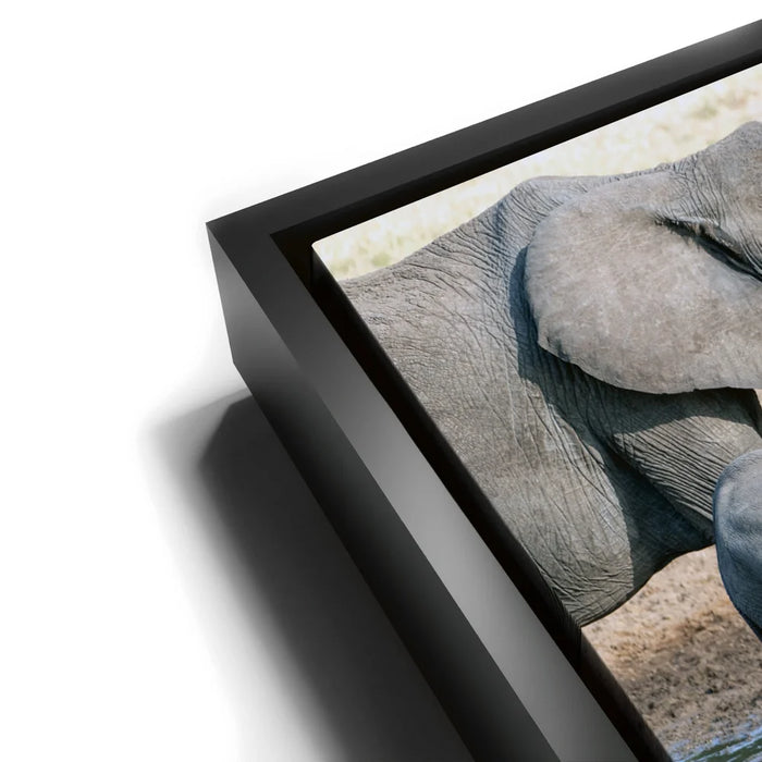 Featured image 11 for Elephants Of Tanzania