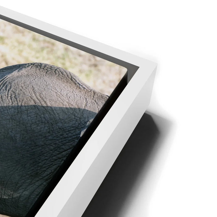 Featured image 13 for Elephants Of Tanzania