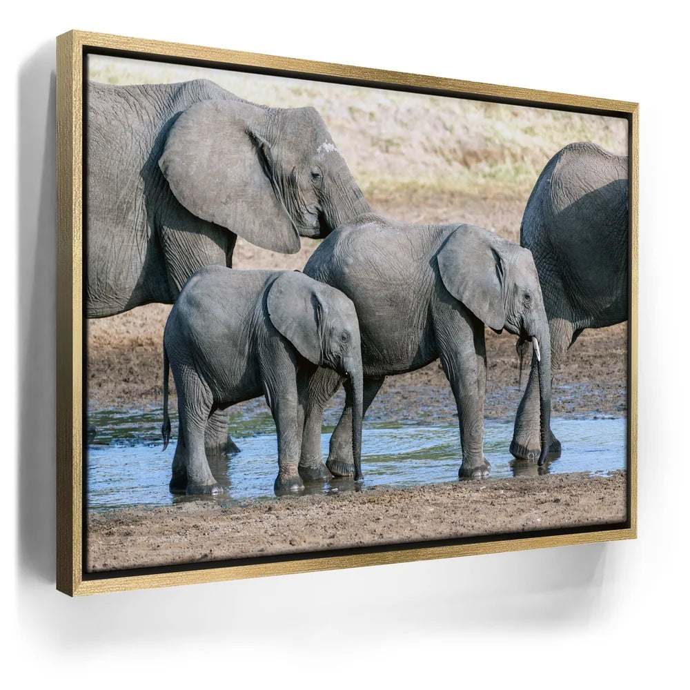 Featured image 7 for Elephants Of Tanzania