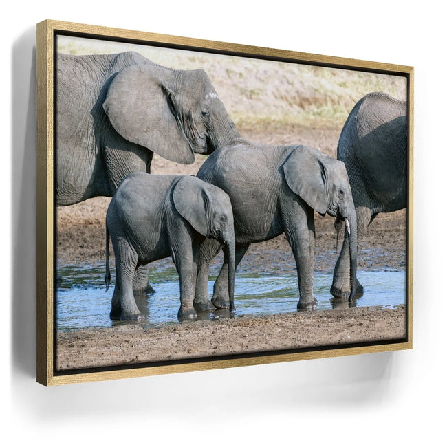 Featured image 7 for Elephants Of Tanzania