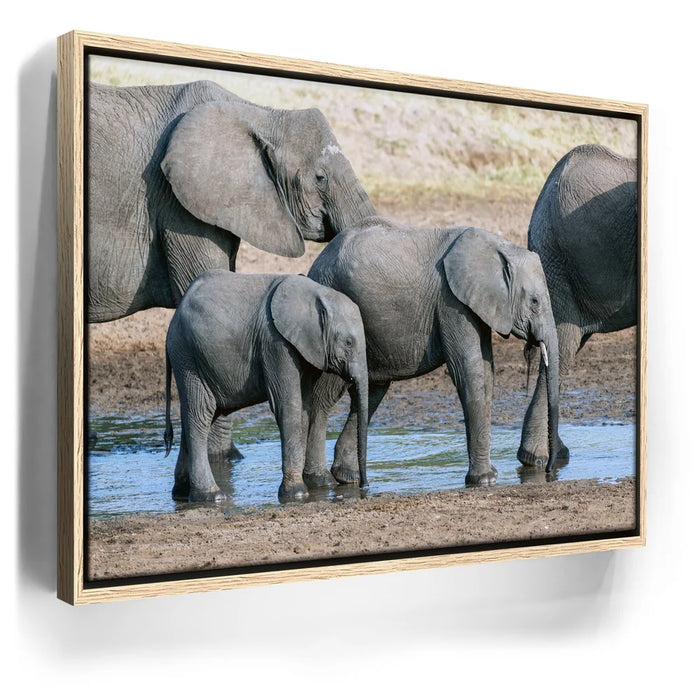 Featured image 9 for Elephants Of Tanzania