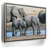 Featured image 8 for Elephants Of Tanzania
