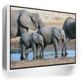 Featured image 6 for Elephants Of Tanzania