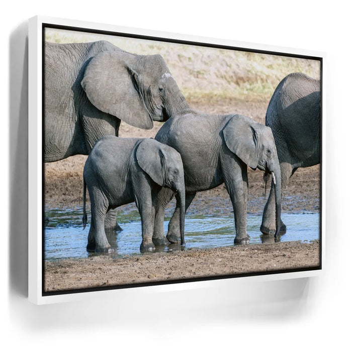 Featured image 6 for Elephants Of Tanzania