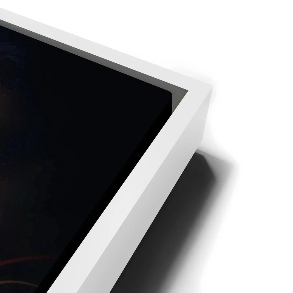 Featured image 13 for Elon