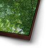 Thumbnail image 14 for Emerald Forest Light