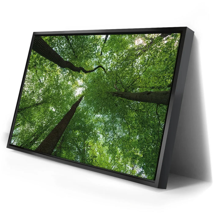 Featured image 2 for Emerald Forest Light