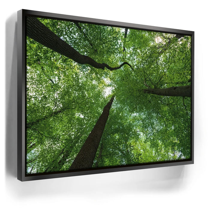 Featured image 5 for Emerald Forest Light