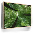 Featured image 9 for Emerald Forest Light
