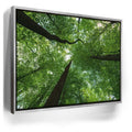 Featured image 8 for Emerald Forest Light