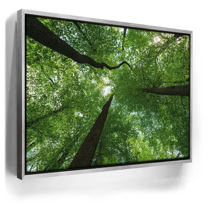 Featured image 8 for Emerald Forest Light