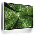 Featured image 6 for Emerald Forest Light