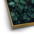 Thumbnail image 12 for Emerald Oracle