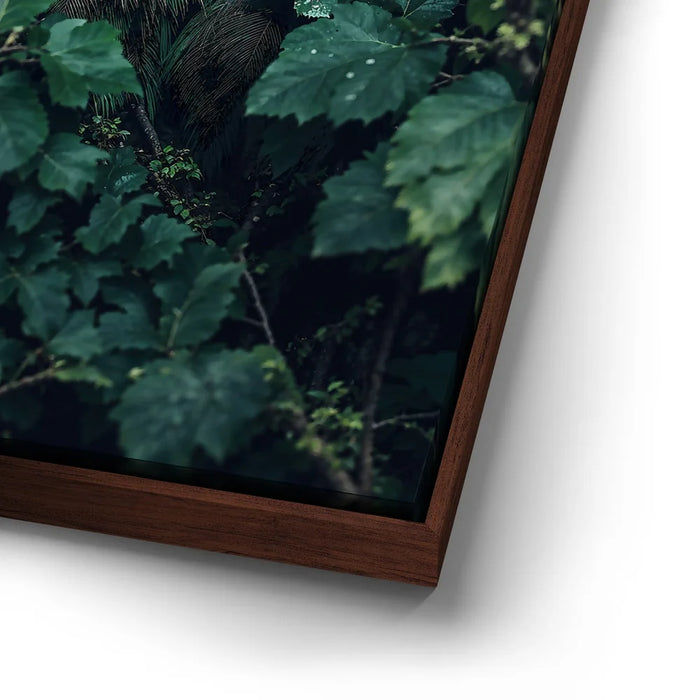 Featured image 14 for Emerald Oracle