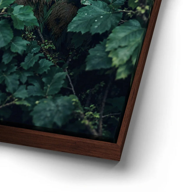 Featured image 14 for Emerald Oracle