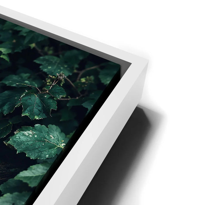 Featured image 13 for Emerald Oracle