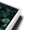 Thumbnail image 13 for Emerald Oracle