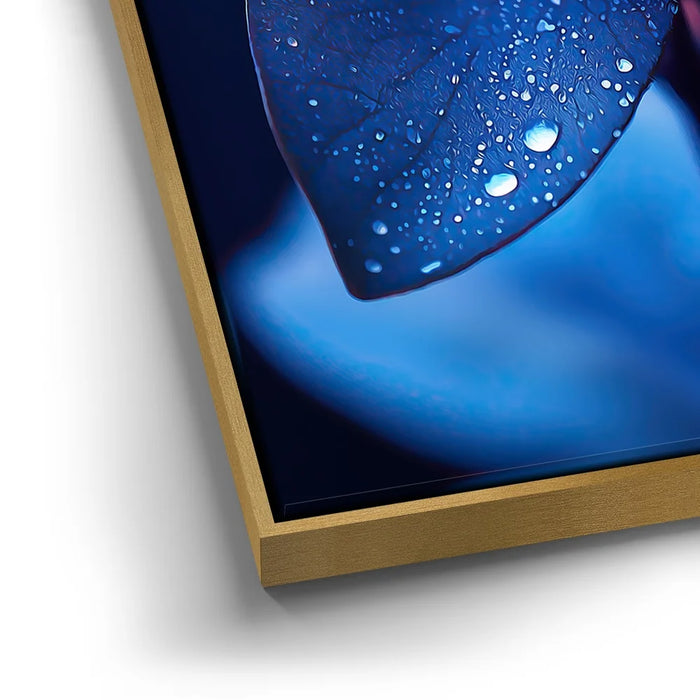 Featured image 12 for Enchanted Lotus