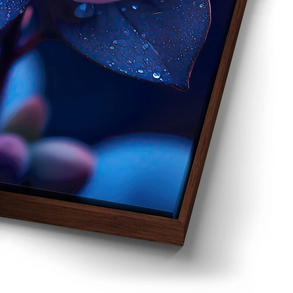 Featured image 14 for Enchanted Lotus