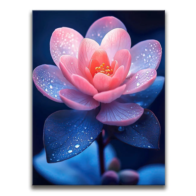 Featured image 1 for Enchanted Lotus