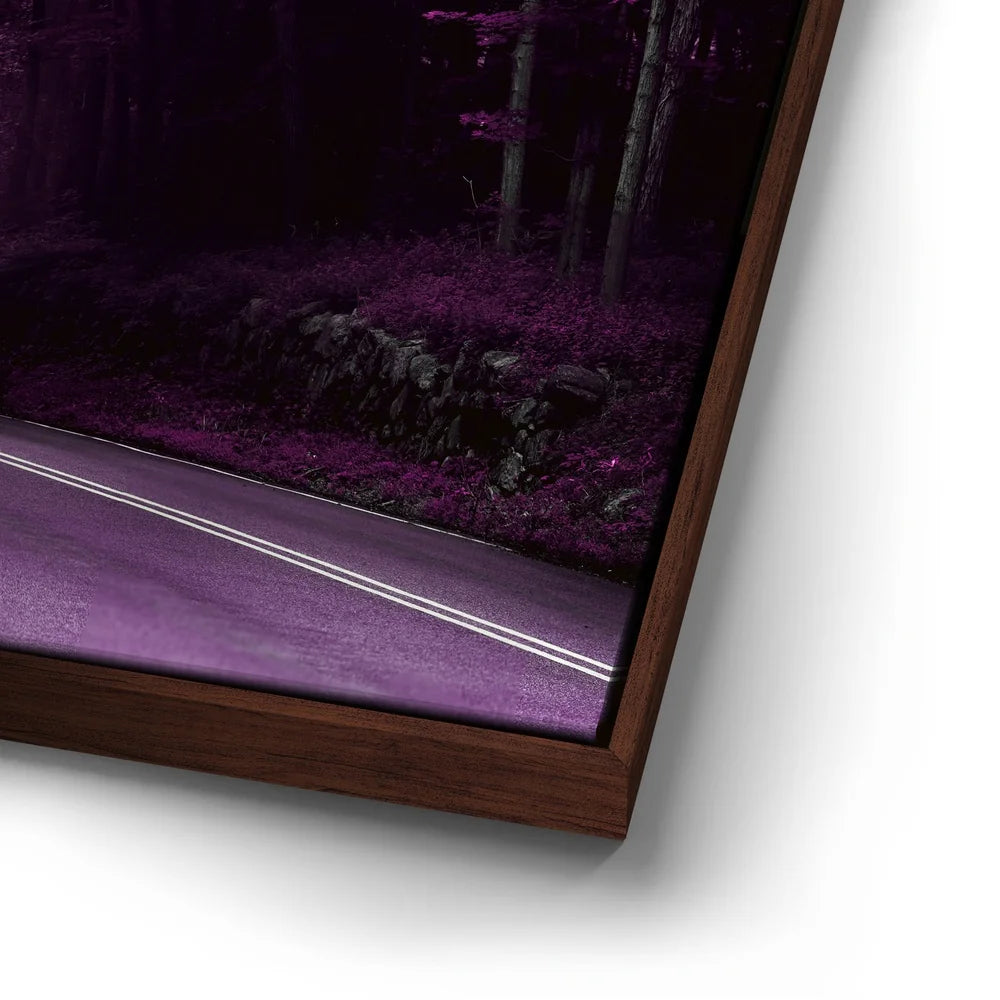 Featured image 14 for Enchanted Path