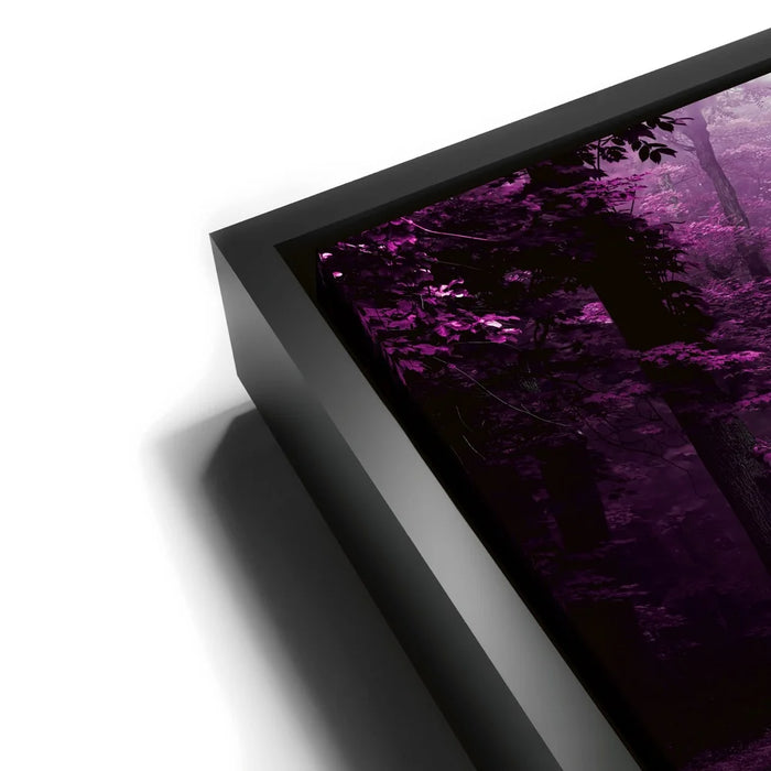 Featured image 11 for Enchanted Path