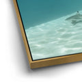 Thumbnail image 12 for Encounter In The Blue - Tahiti