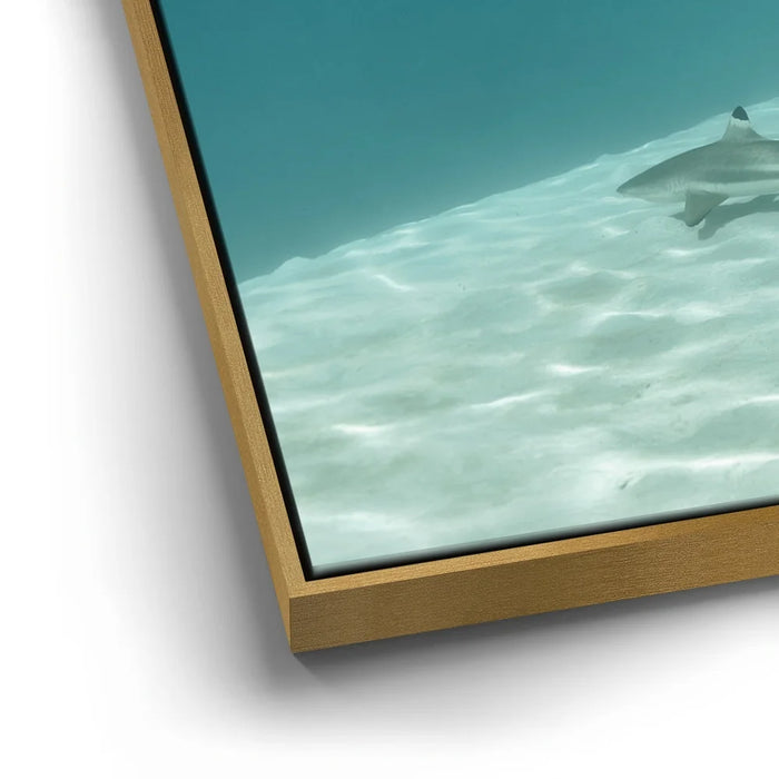 Featured image 12 for Encounter In The Blue - Tahiti