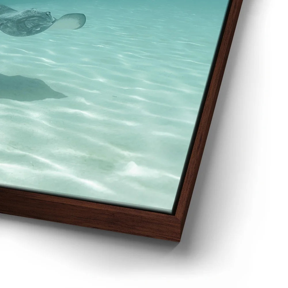 Featured image 14 for Encounter In The Blue - Tahiti