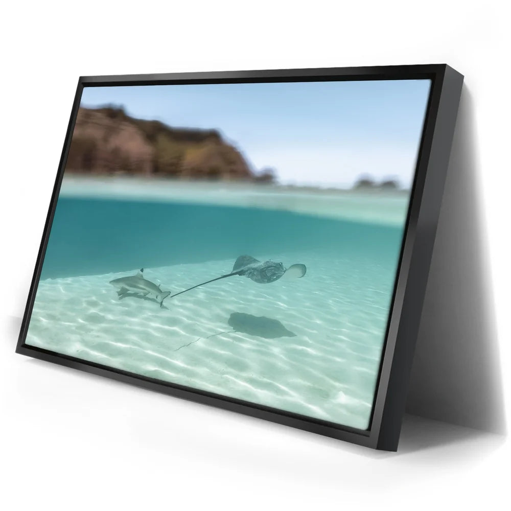 Featured image 2 for Encounter In The Blue - Tahiti