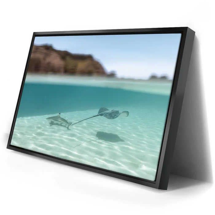 Featured image 2 for Encounter In The Blue - Tahiti