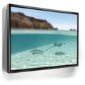 Featured image 5 for Encounter In The Blue - Tahiti