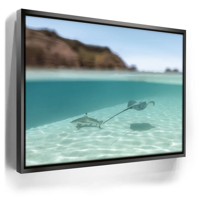 Featured image 5 for Encounter In The Blue - Tahiti