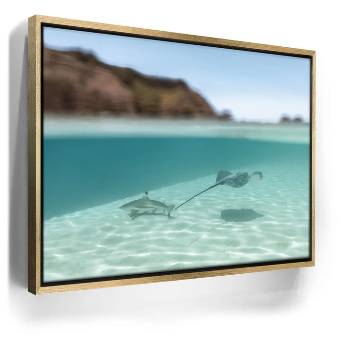 Featured image 7 for Encounter In The Blue - Tahiti